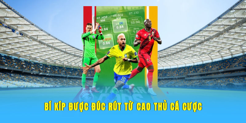 Bí kíp được đúc rút từ cao thủ cá cược