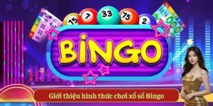 Xổ số Bingo